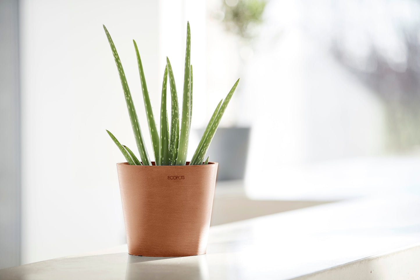 Kukkaruukku - Ecopots - Amsterdam 17cm terracotta - Ecopotskauppa - Uuden aikakauden kukkaruukku