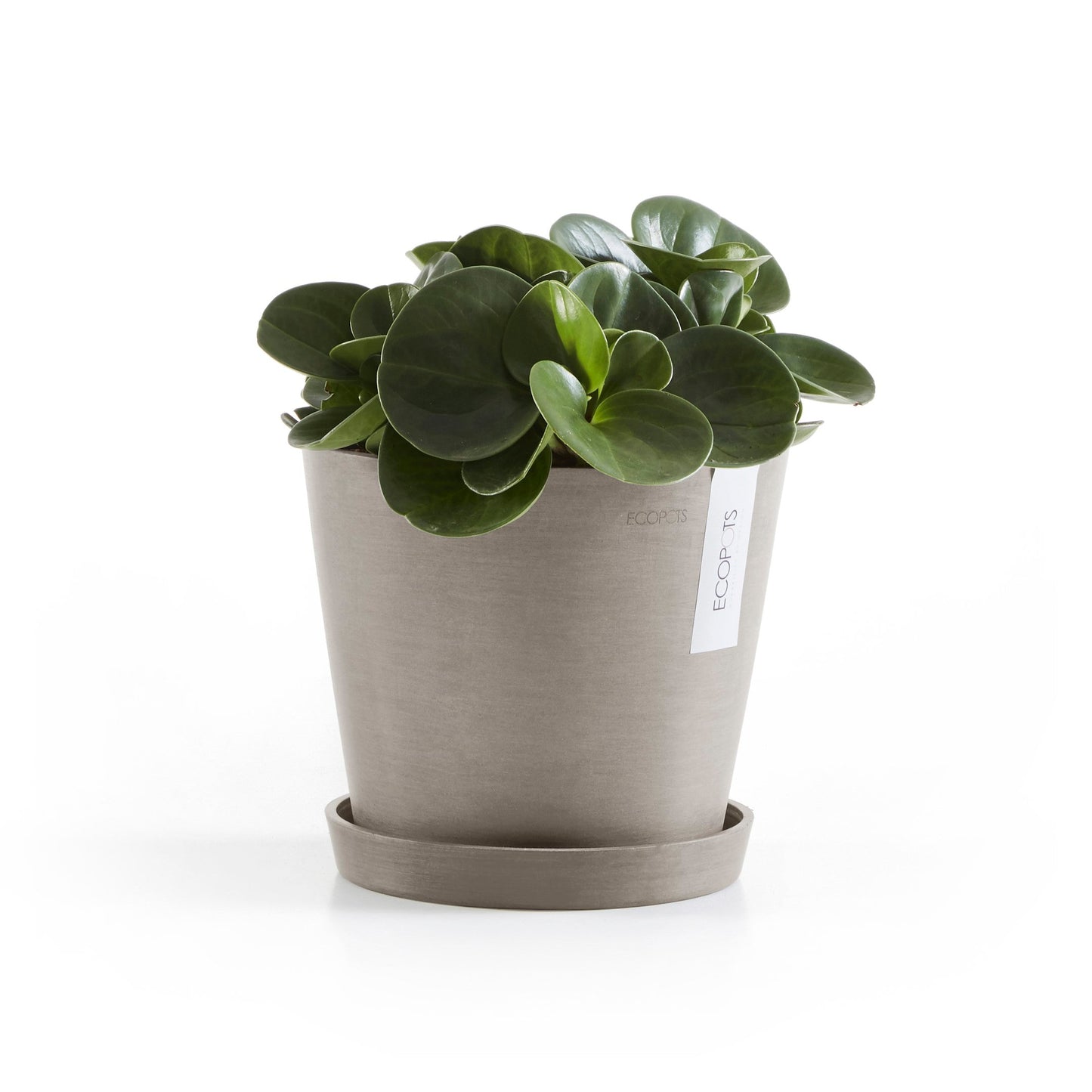 Kukkaruukku - Ecopots - Amsterdam 20cm taupe - Ecopotskauppa - Uuden aikakauden kukkaruukku