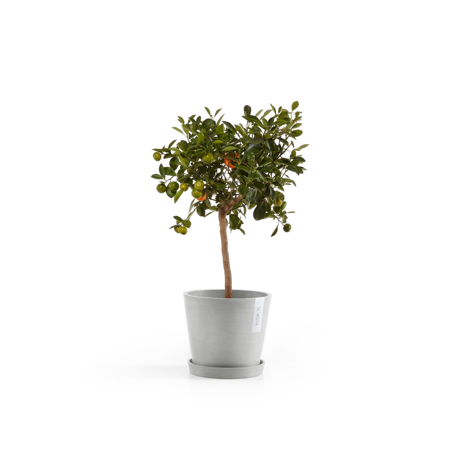 Kukkaruukku - Ecopots - Amsterdam 20cm valkoharmaa - Ecopotskauppa - Uuden aikakauden kukkaruukku