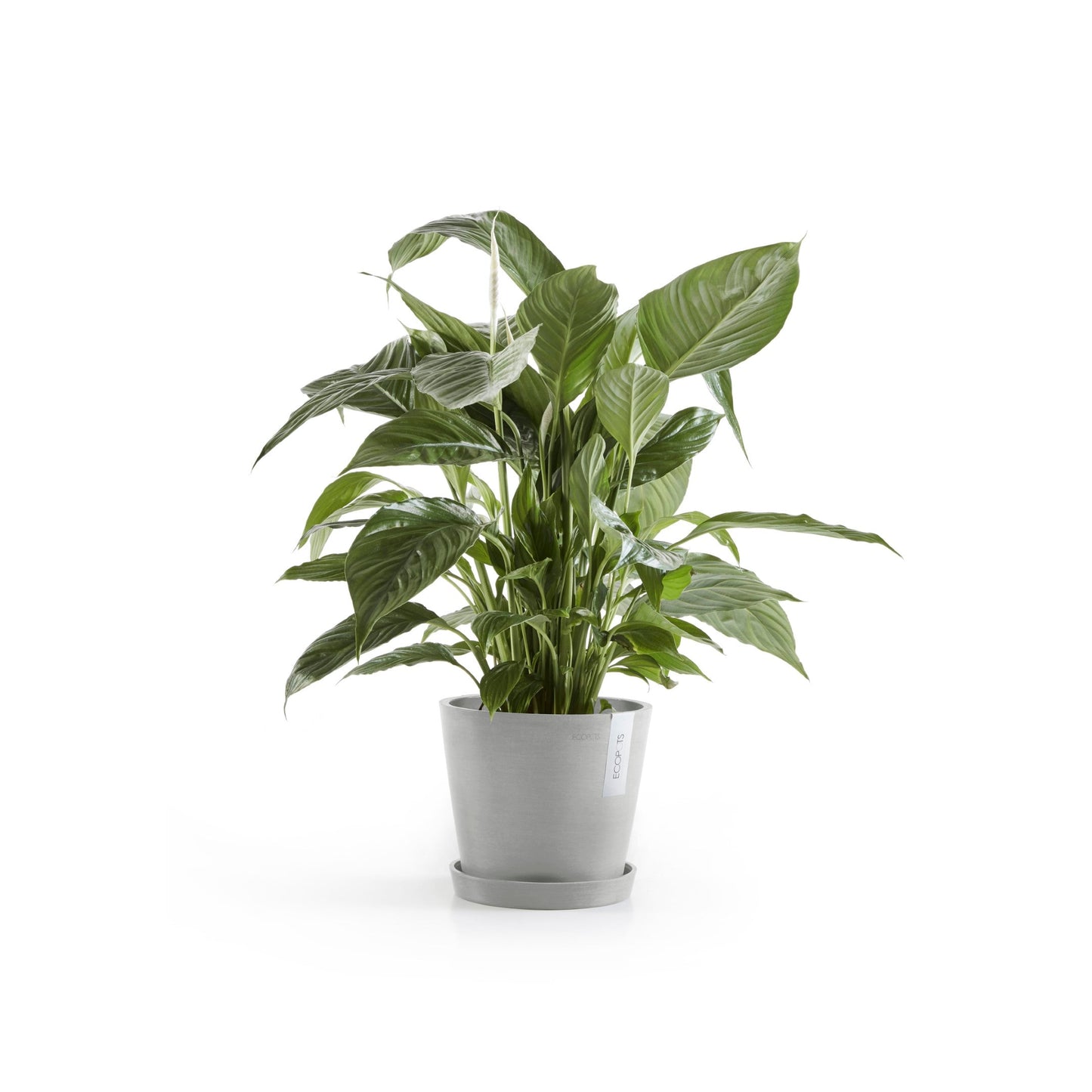 Kukkaruukku - Ecopots - Amsterdam 20cm valkoharmaa - Ecopotskauppa - Uuden aikakauden kukkaruukku