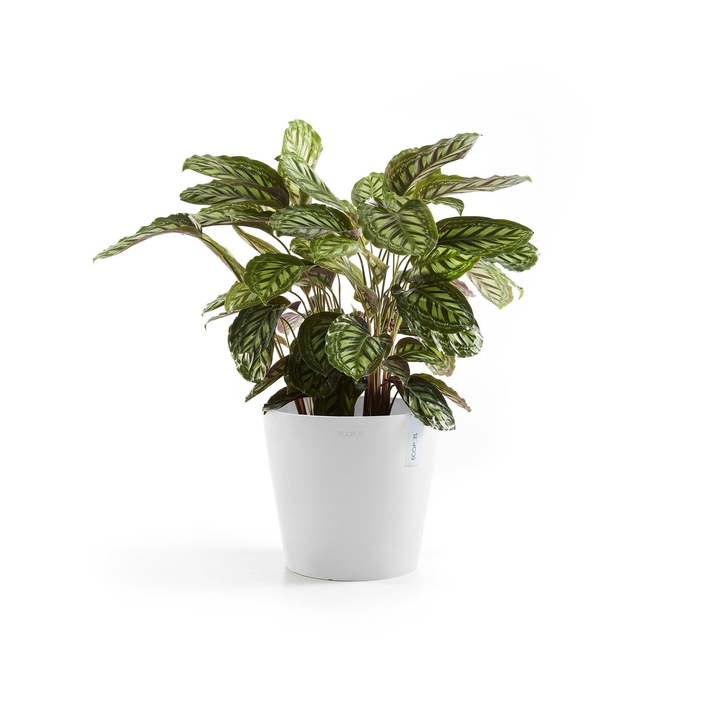 Kukkaruukku - Ecopots - Amsterdam 25cm valkoinen - Ecopotskauppa - Uuden aikakauden kukkaruukku