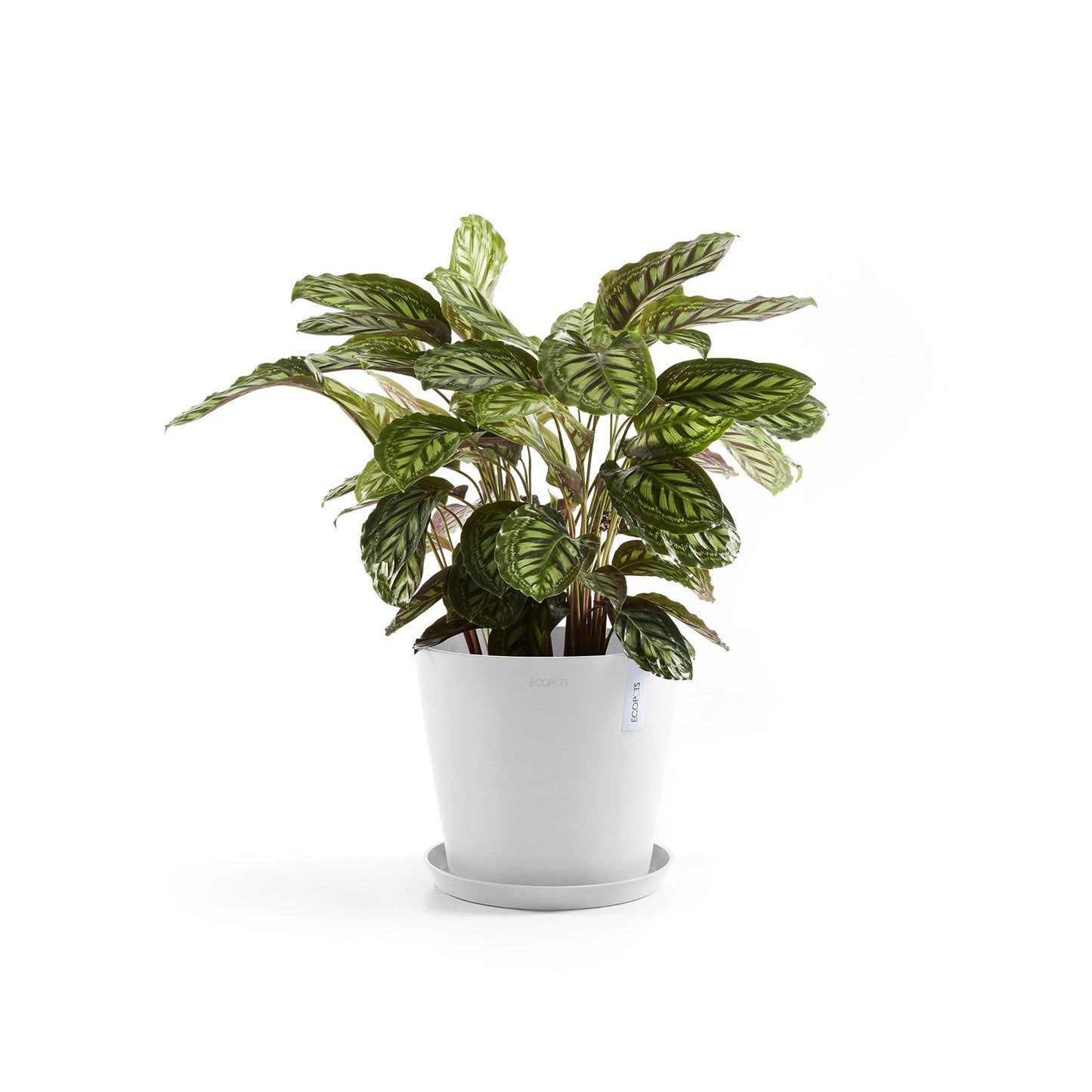 Kukkaruukku - Ecopots - Amsterdam 25cm valkoinen - Ecopotskauppa - Uuden aikakauden kukkaruukku