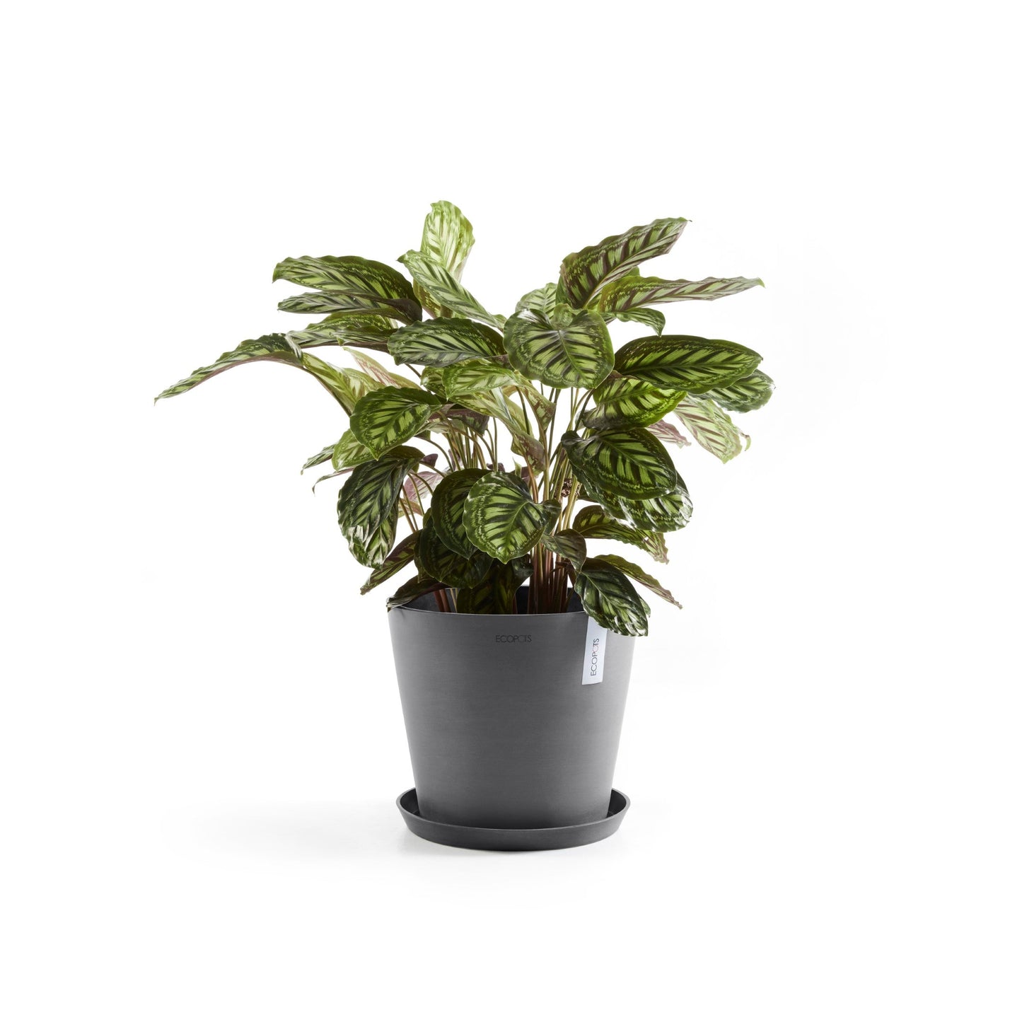 Kukkaruukku - Ecopots - Amsterdam 40cm harmaa - Ecopotskauppa - Uuden aikakauden kukkaruukku