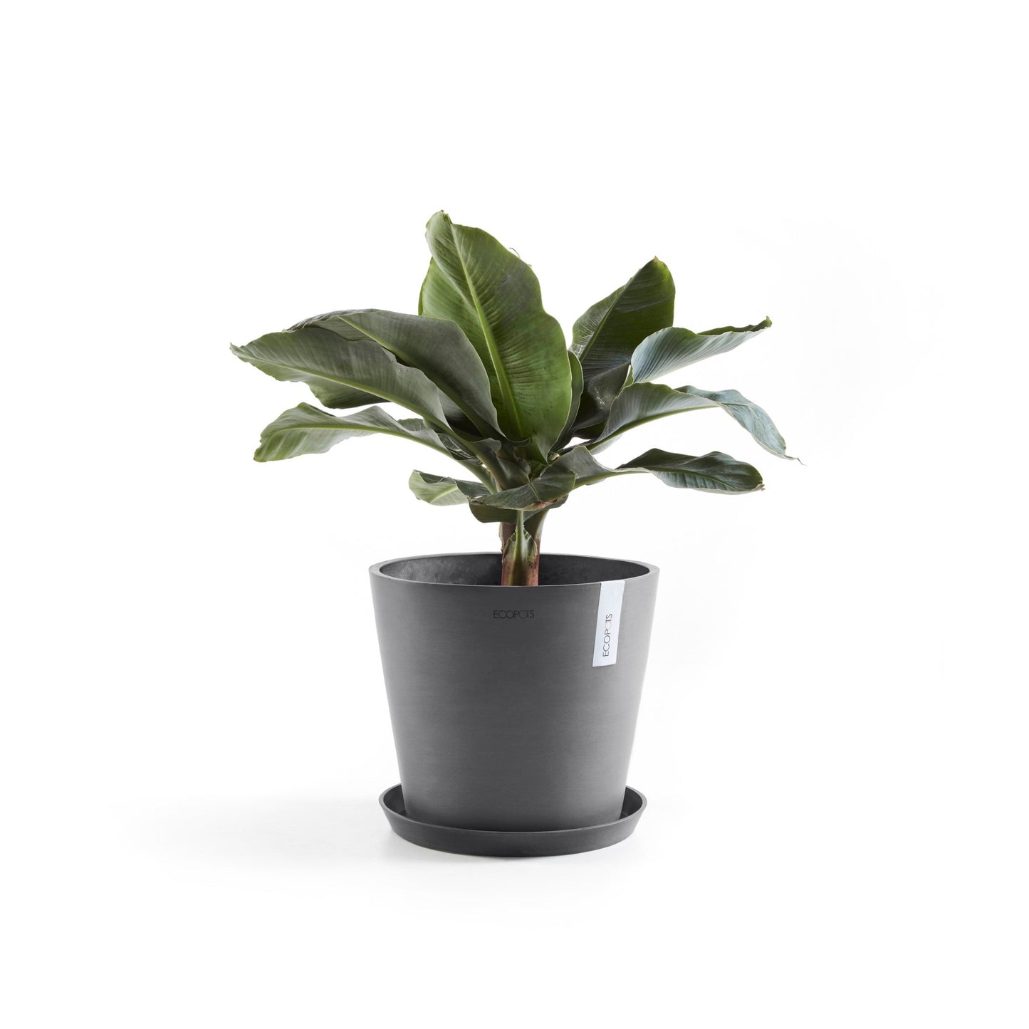 Kukkaruukku - Ecopots - Amsterdam 40cm harmaa - Ecopotskauppa - Uuden aikakauden kukkaruukku