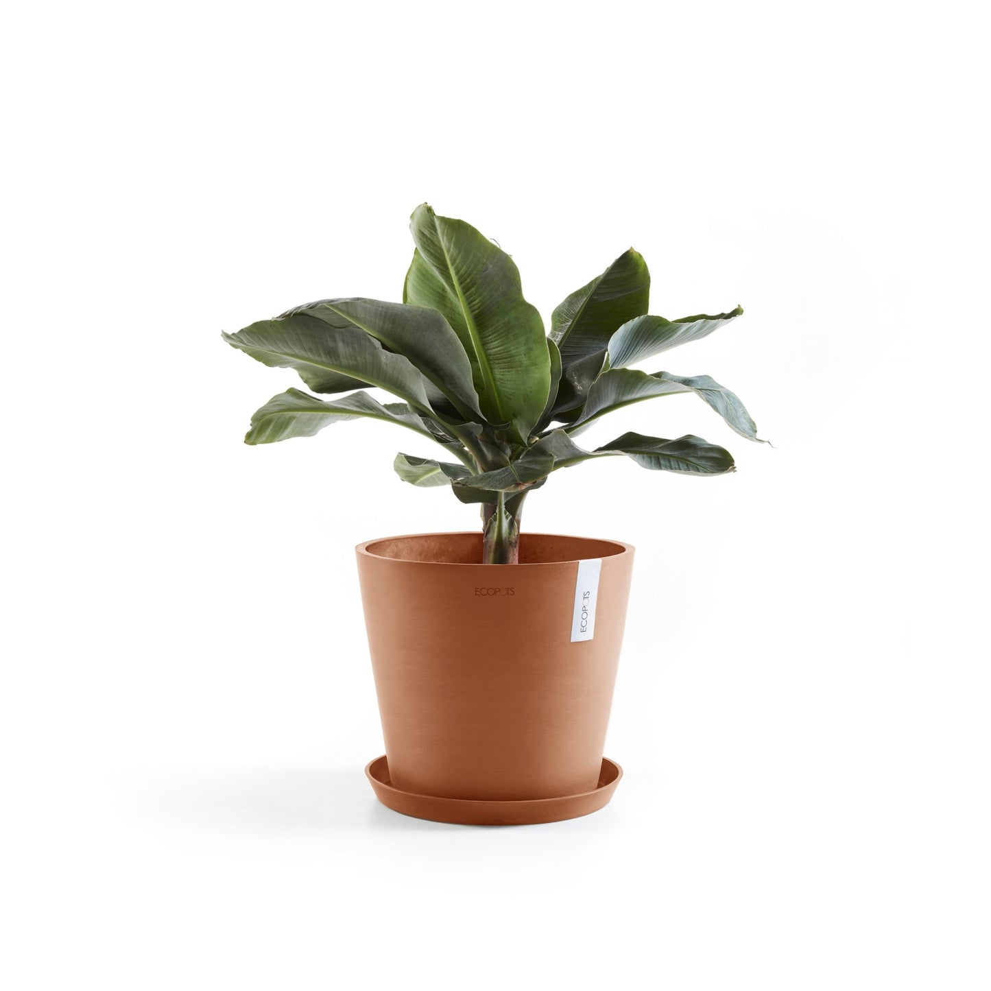 Kukkaruukku - Ecopots - Amsterdam 40cm terracotta - Ecopotskauppa - Uuden aikakauden kukkaruukku