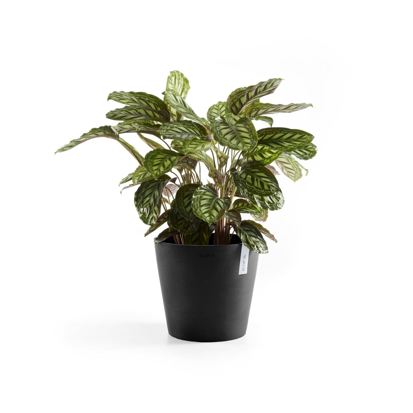 Kukkaruukku - Ecopots - Amsterdam 40cm tummanharmaa - Ecopotskauppa - Uuden aikakauden kukkaruukku