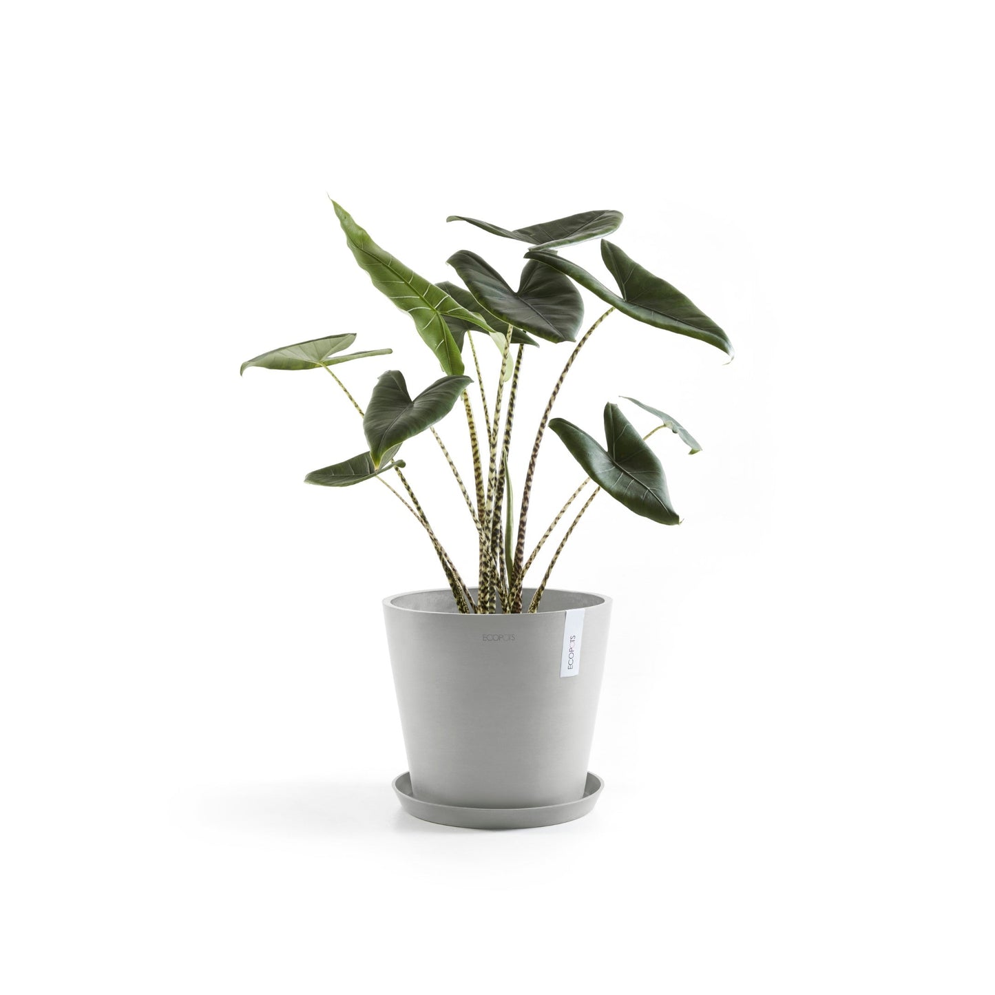 Kukkaruukku - Ecopots - Amsterdam 40cm valkoharmaa - Ecopotskauppa - Uuden aikakauden kukkaruukku