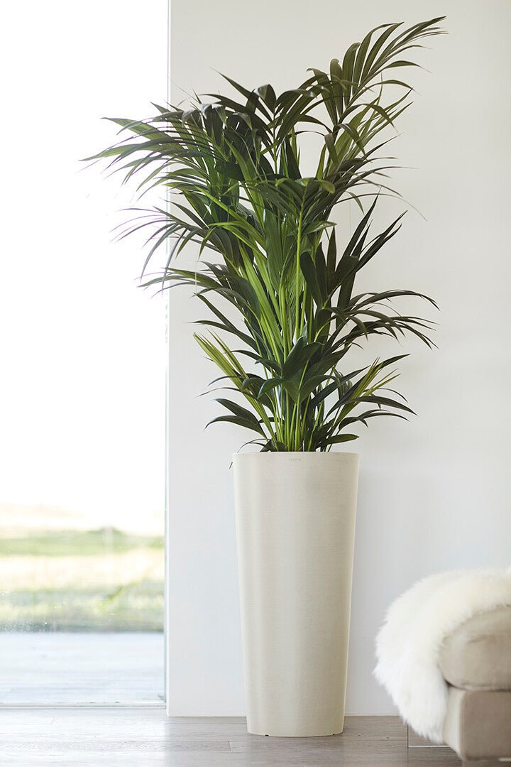 Kukkaruukku - Ecopots - Amsterdam korkea 70cm valkoharmaa - Ecopotskauppa - Uuden aikakauden kukkaruukku