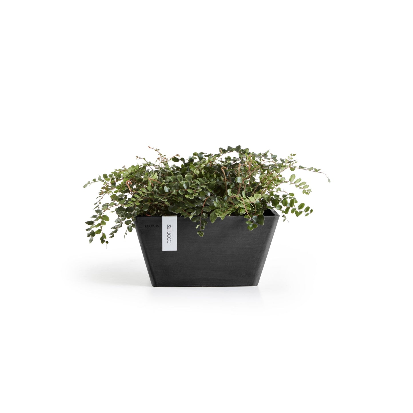 Kukkaruukku - Ecopots - Berliini 40cm tummanharmaa - Ecopotskauppa - Uuden aikakauden kukkaruukku