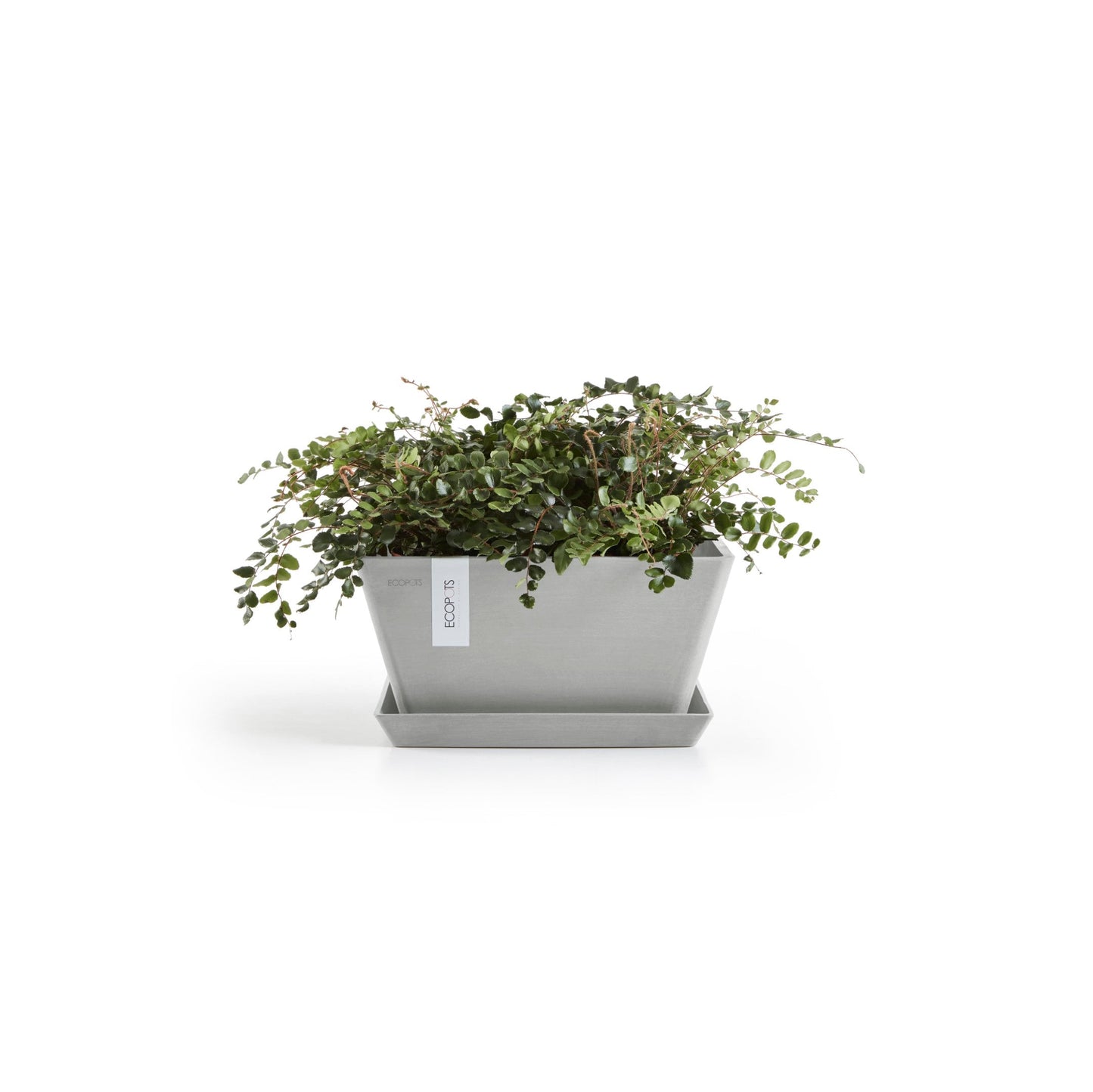 Kukkaruukku - Ecopots - Berliini 40cm valkoharmaa - Ecopotskauppa - Uuden aikakauden kukkaruukku
