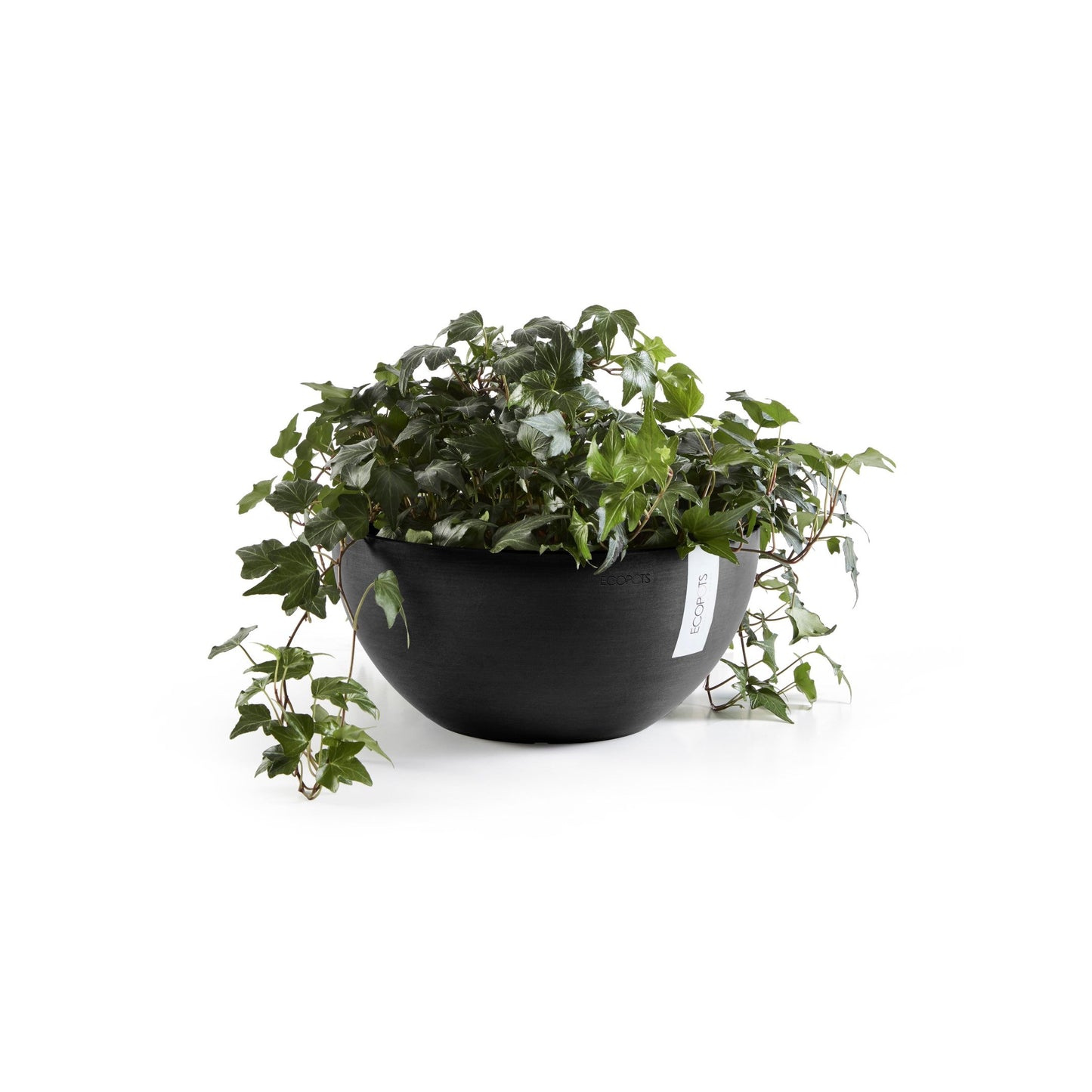Kukkaruukku - Ecopots - Brysseli 30cm tummanharmaa - Ecopotskauppa - Uuden aikakauden kukkaruukku
