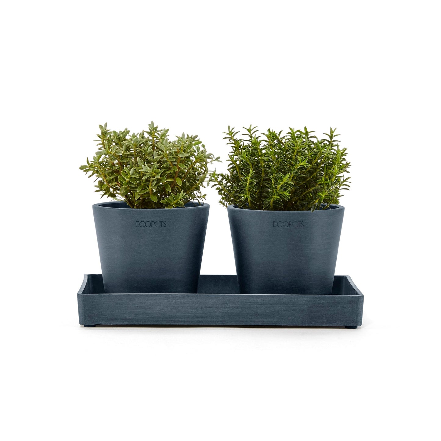 Kukkaruukku - Ecopots - Esillepanotarjotin 25cm tummansininen - Ecopotskauppa - Uuden aikakauden kukkaruukku