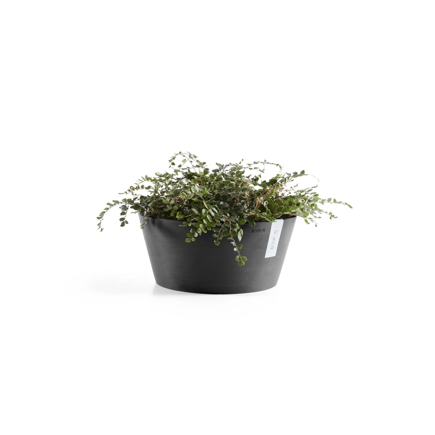 Kukkaruukku - Ecopots - Frankfurt 50cm tummanharmaa - Ecopotskauppa - Uuden aikakauden kukkaruukku