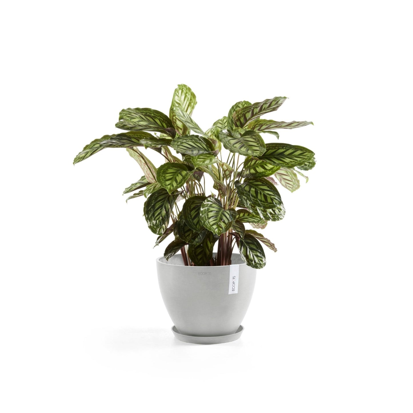 Kukkaruukku - Ecopots - Kukkaruukku Antwerpen 30cm valkoharmaa - Ecopots - Uuden aikakauden kukkaruukku kierrätysmateriaalista