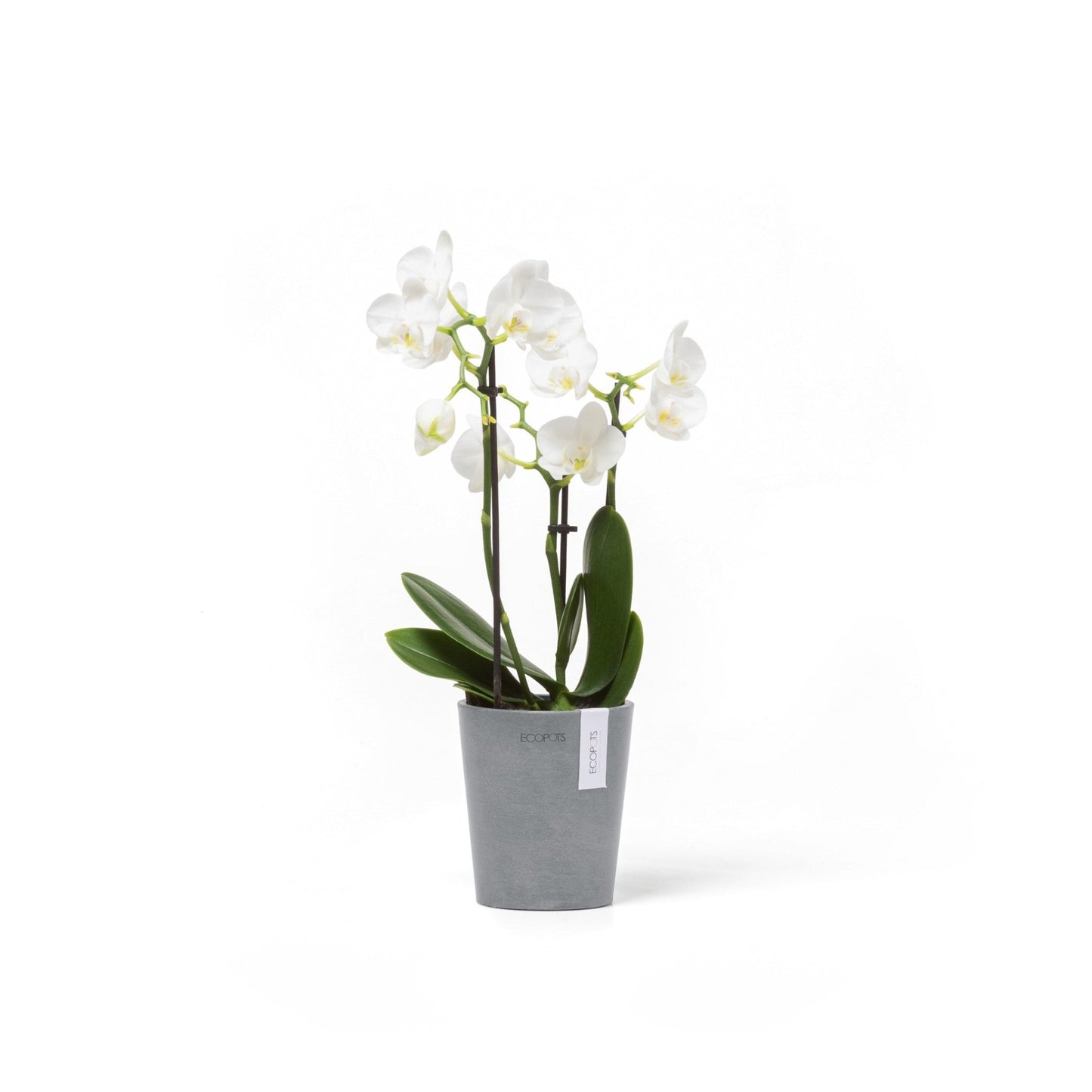 Kukkaruukku - Ecopots - Kukkaruukku Morinda 11cm siniharmaa - Ecopots - Uuden aikakauden kukkaruukku kierrätysmateriaalista