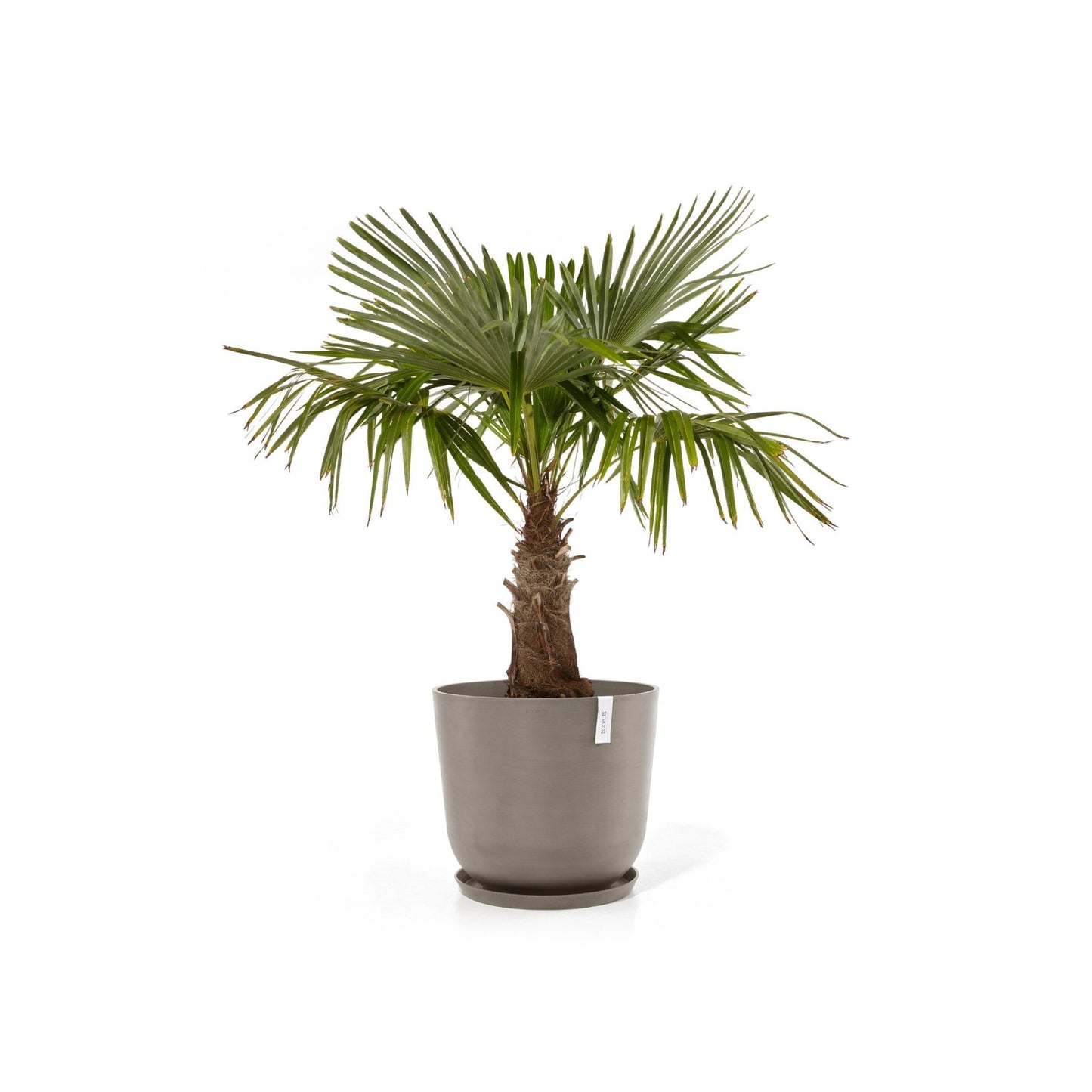 Kukkaruukku - Ecopots - Kukkaruukku Oslo 65cm taupe - Ecopots - Uuden aikakauden kukkaruukku kierrätysmateriaalista