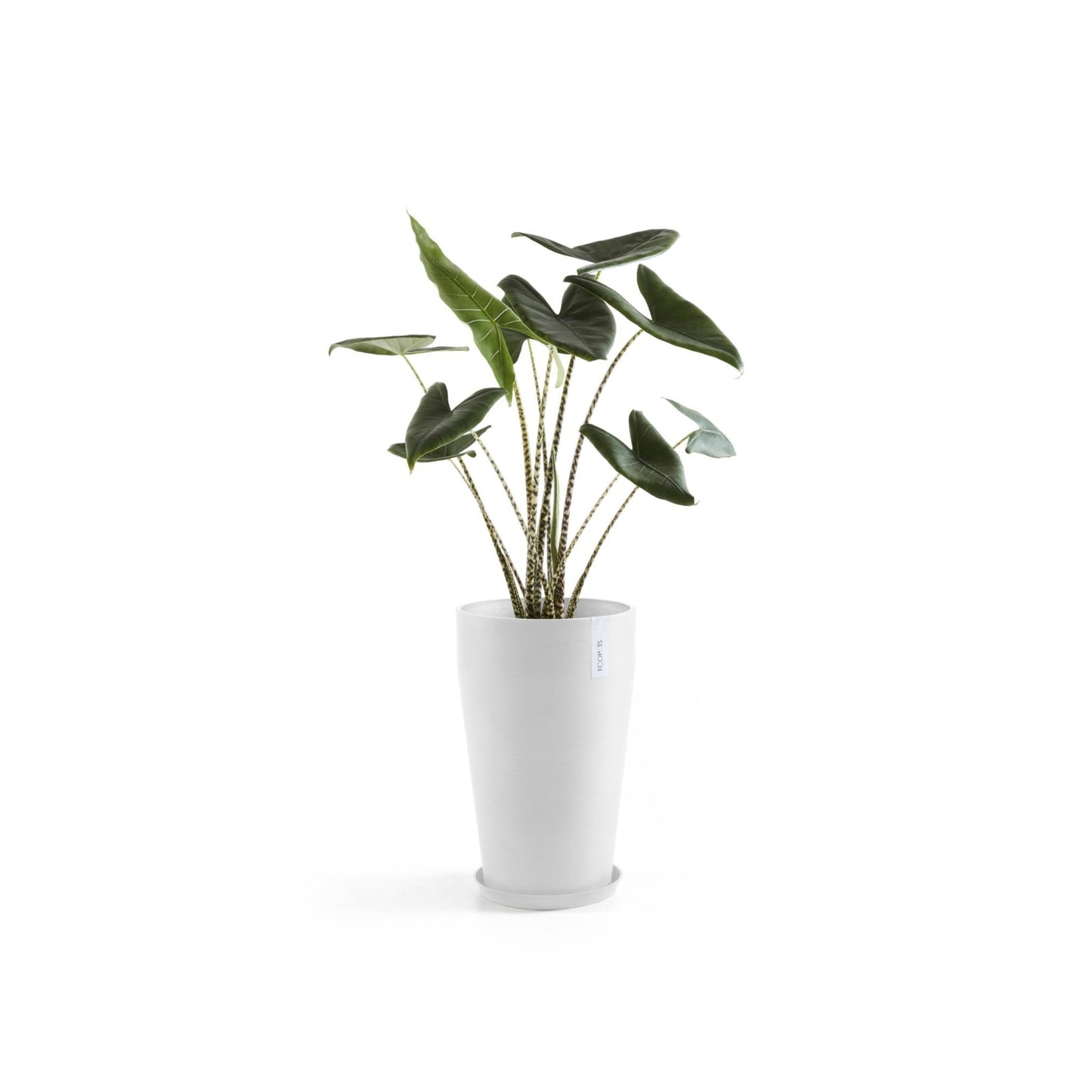 Kukkaruukku - Ecopots - Kukkaruukku Sankara keskikorkea 55cm valkoinen - Ecopots - Uuden aikakauden kukkaruukku kierrätysmateriaalista
