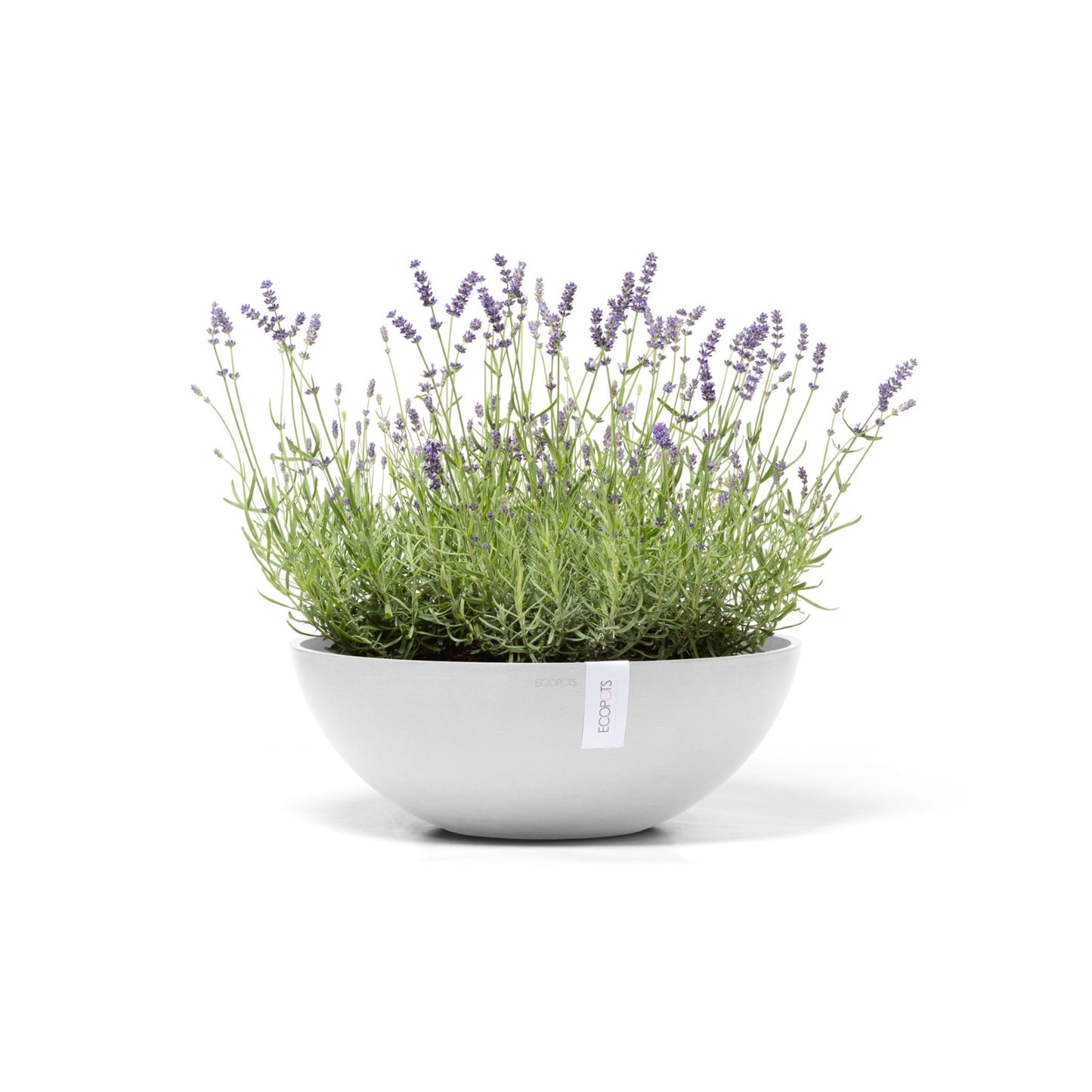 Kukkaruukku - Ecopots - Kukkaruukku Vienna 50cm valkoinen - Ecopots - Uuden aikakauden kukkaruukku kierrätysmateriaalista