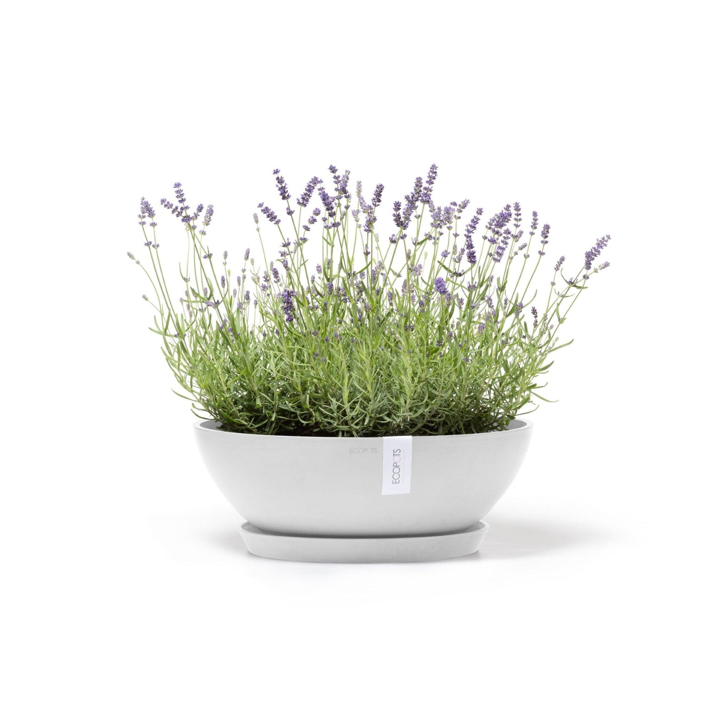Kukkaruukku - Ecopots - Kukkaruukku Vienna 50cm valkoinen - Ecopots - Uuden aikakauden kukkaruukku kierrätysmateriaalista