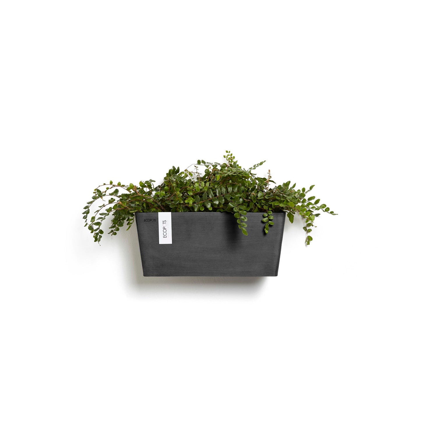 Kukkaruukku - Ecopots - Manhattan seinä 35cm tummanharmaa - Ecopotskauppa - Uuden aikakauden kukkaruukku