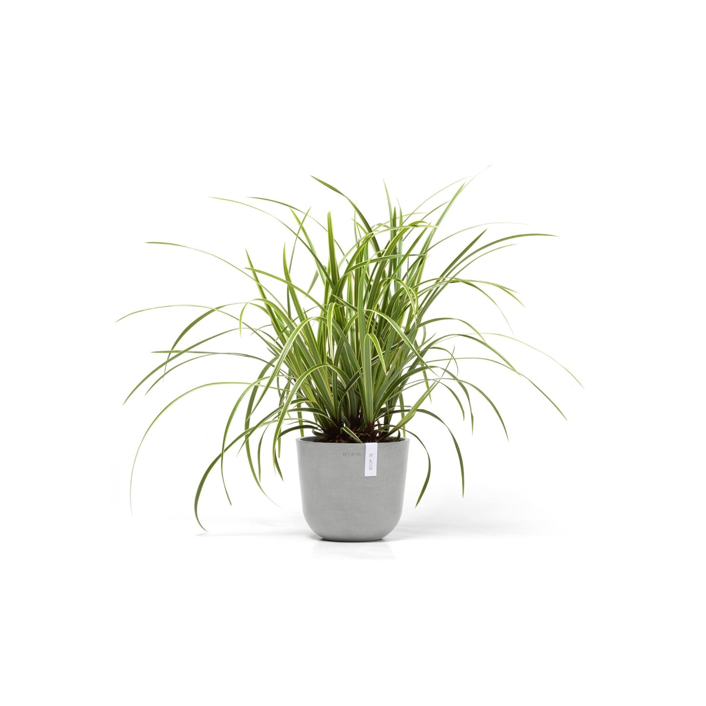 Kukkaruukku - Ecopots - Oslo 19cm valkoharmaa - Ecopotskauppa - Uuden aikakauden kukkaruukku