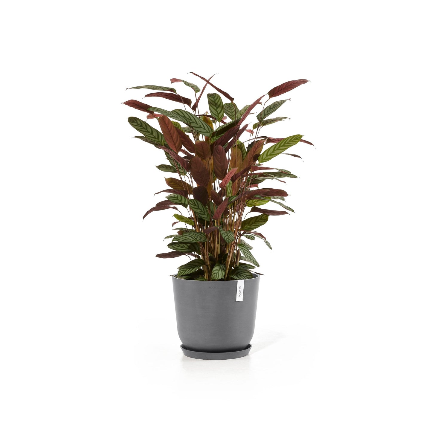 Kukkaruukku - Ecopots - Oslo 35cm harmaa - Ecopotskauppa - Uuden aikakauden kukkaruukku