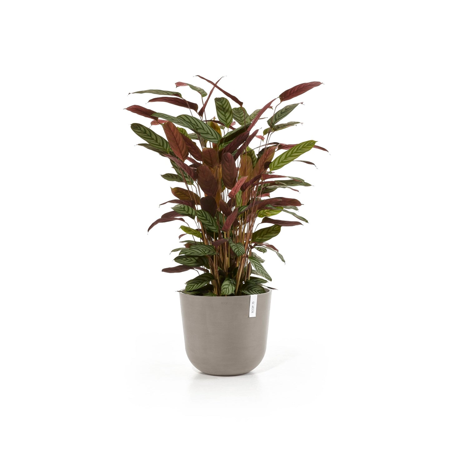 Kukkaruukku - Ecopots - Oslo 35cm taupe - Ecopotskauppa - Uuden aikakauden kukkaruukku