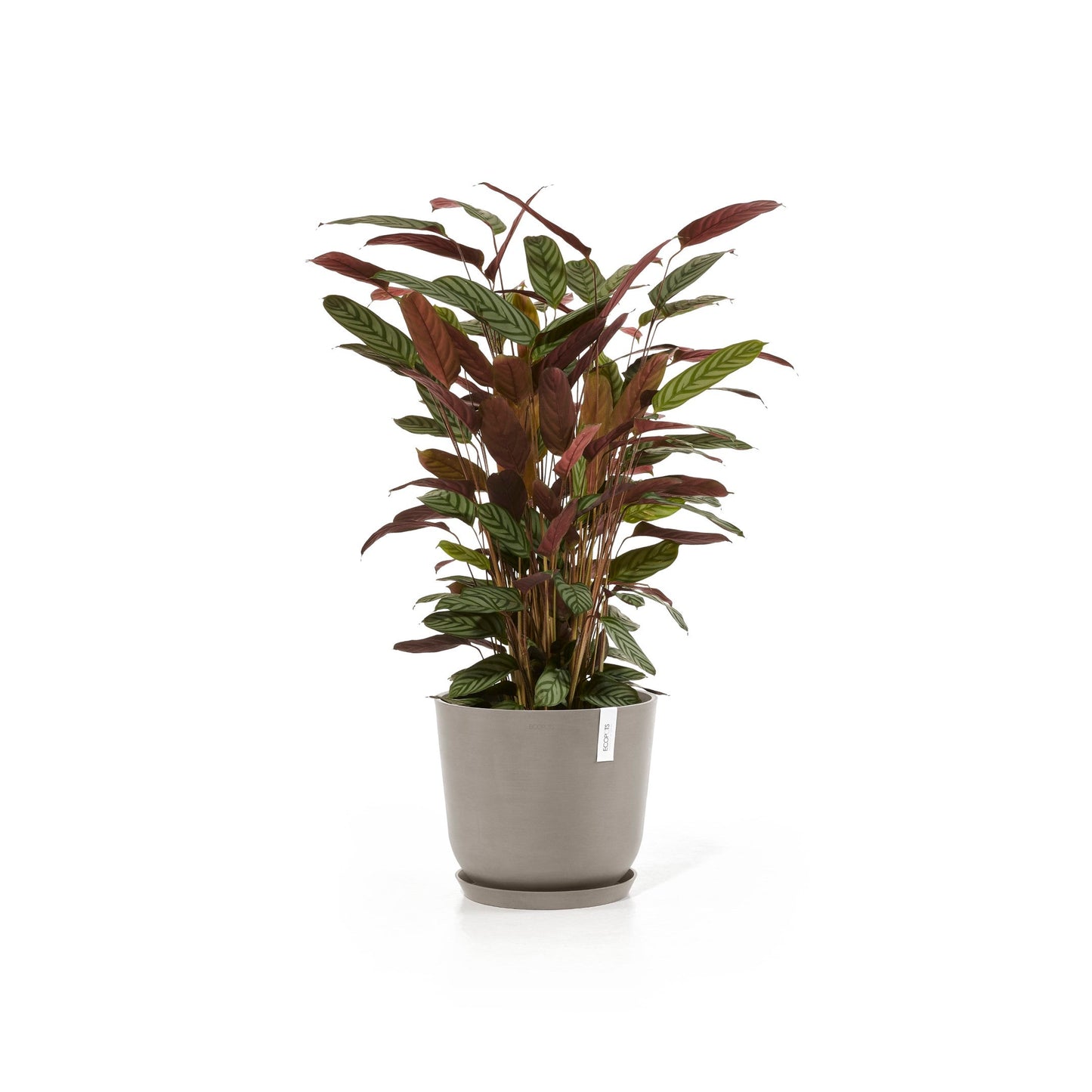 Kukkaruukku - Ecopots - Oslo 35cm taupe - Ecopotskauppa - Uuden aikakauden kukkaruukku