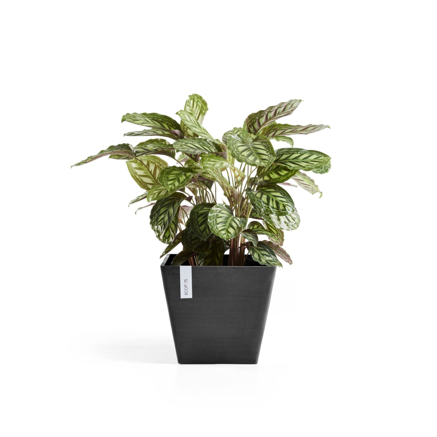 Kukkaruukku - Ecopots - Rotterdam 30cm tummanharmaa - Ecopotskauppa - Uuden aikakauden kukkaruukku