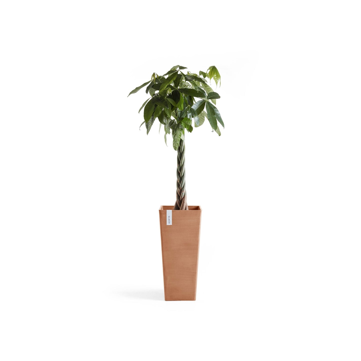 Kukkaruukku - Ecopots - Rotterdam korkea 70cm terracotta - Ecopotskauppa - Uuden aikakauden kukkaruukku