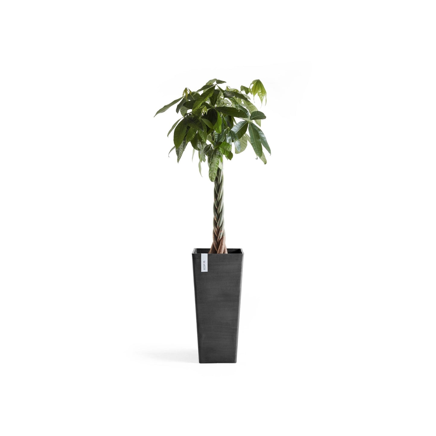 Kukkaruukku - Ecopots - Rotterdam korkea 70cm tummanharmaa - Ecopotskauppa - Uuden aikakauden kukkaruukku