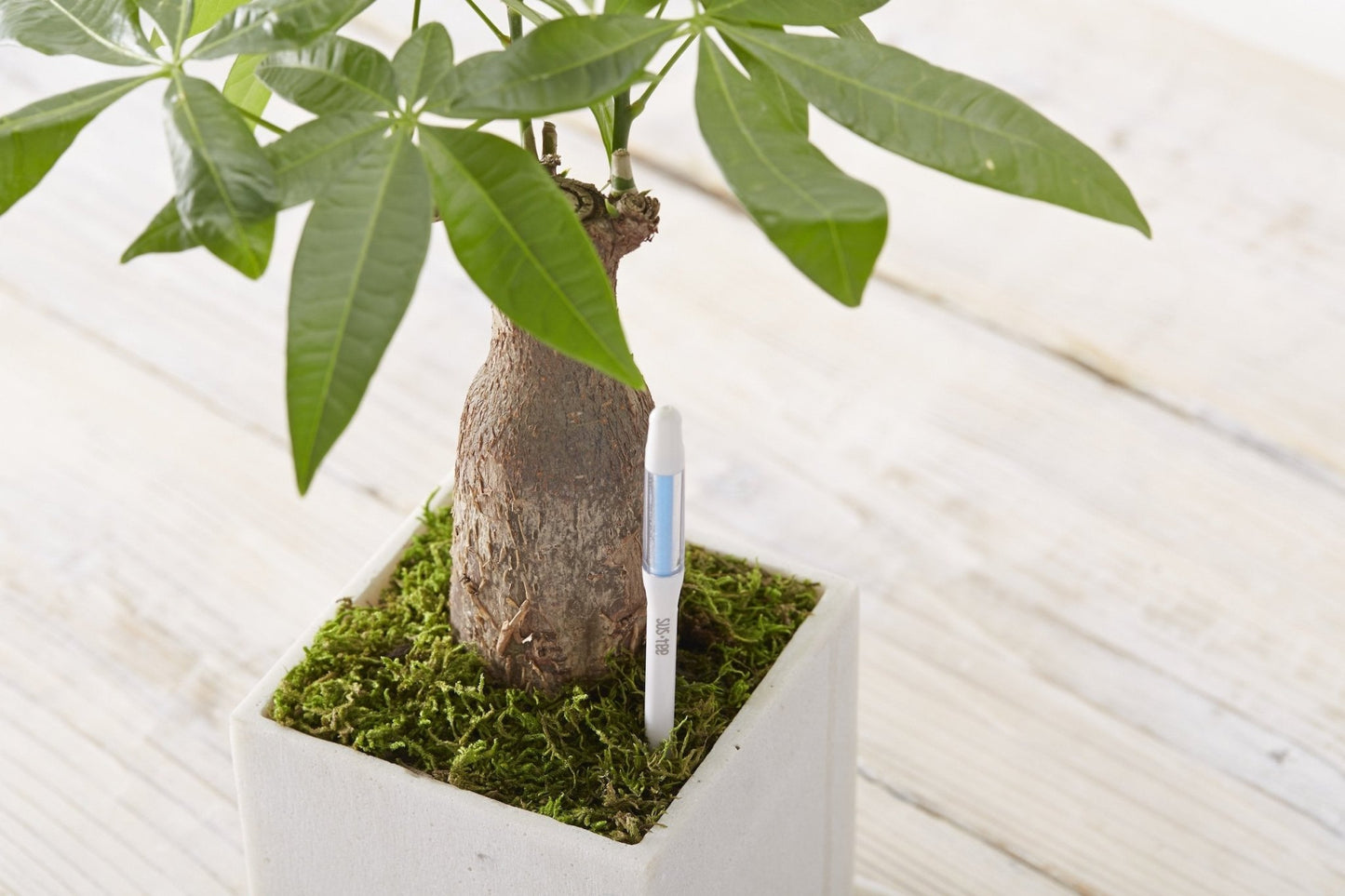 Kukkaruukku - Ecopots - Ruukun kosteustason mittaaja 18cm - Ecopots - Uuden aikakauden kukkaruukku kierrätysmateriaalista