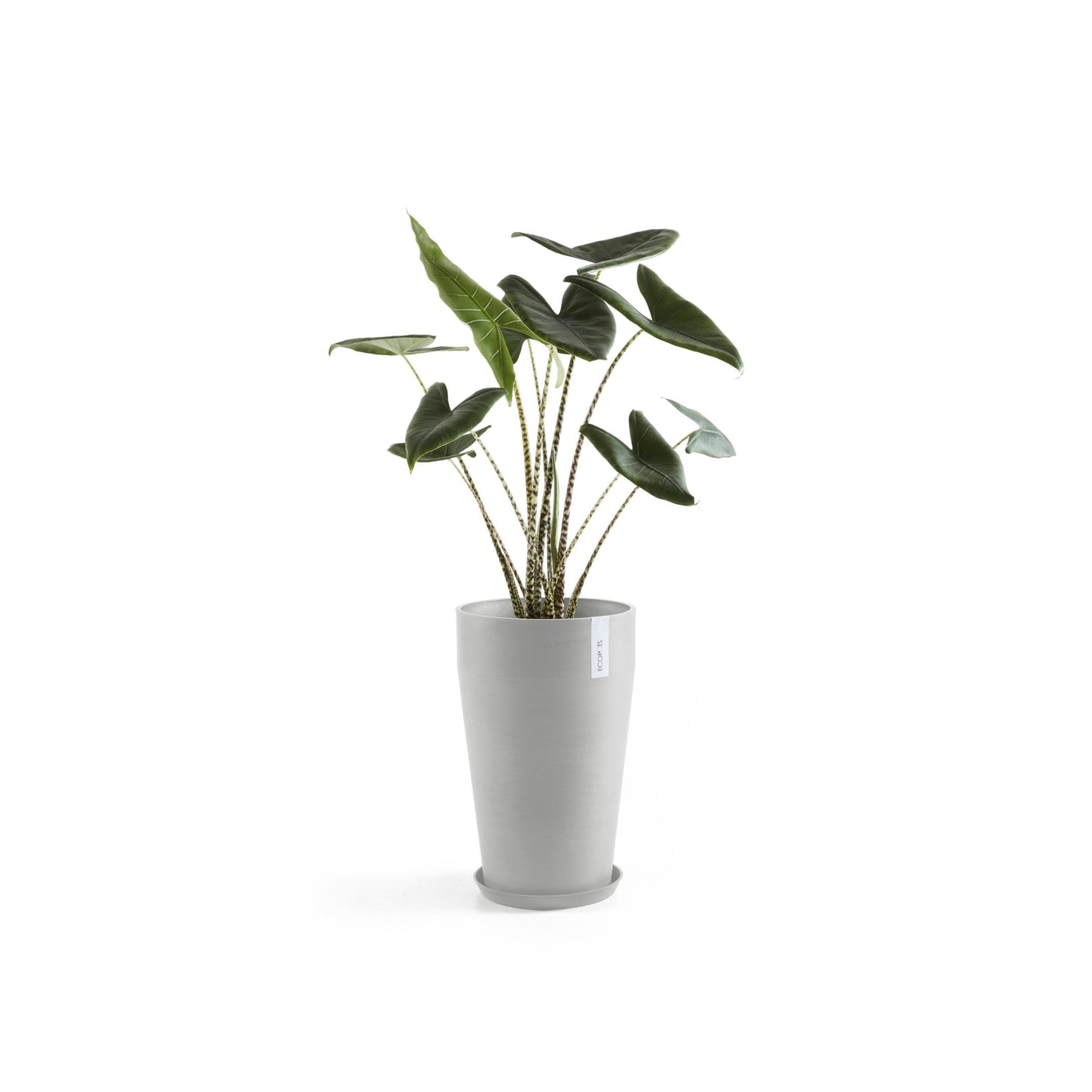 Kukkaruukku - Ecopots - Sankara keskikorkea 55cm valkoharmaa - Ecopotskauppa - Uuden aikakauden kukkaruukku