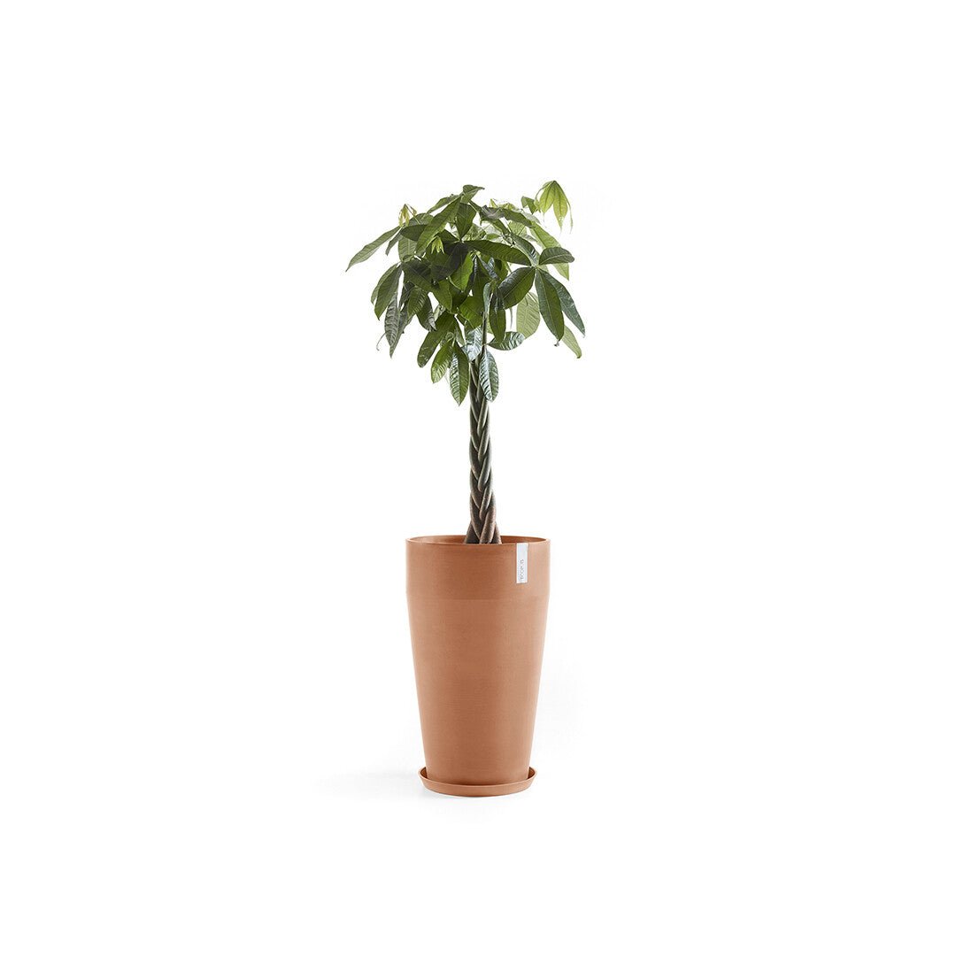 Kukkaruukku - Ecopots - Sankara korkea 75cm terracotta - Ecopotskauppa - Uuden aikakauden kukkaruukku
