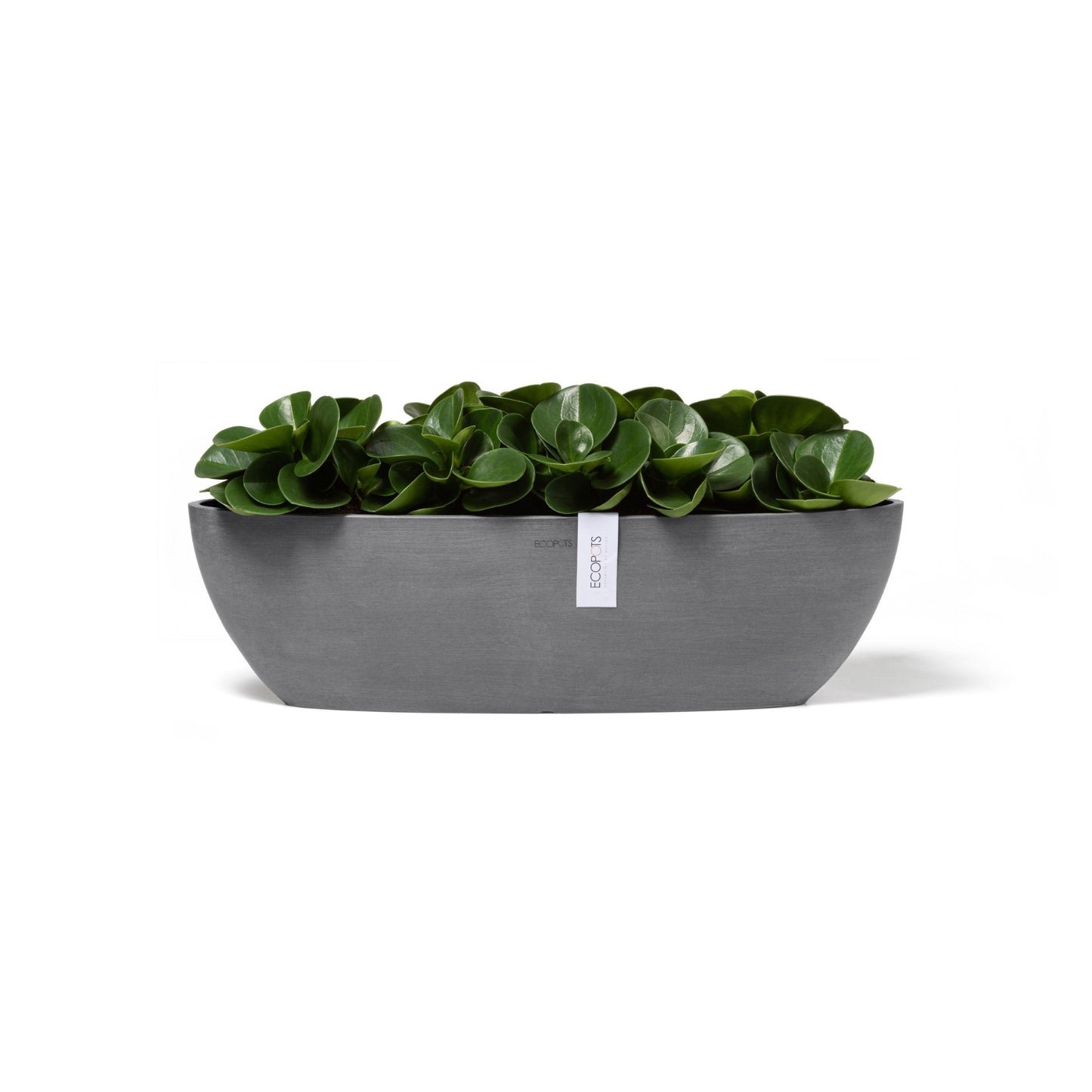 Kukkaruukku - Ecopots - Sofia pitkä 56cm harmaa - Ecopotskauppa - Uuden aikakauden kukkaruukku