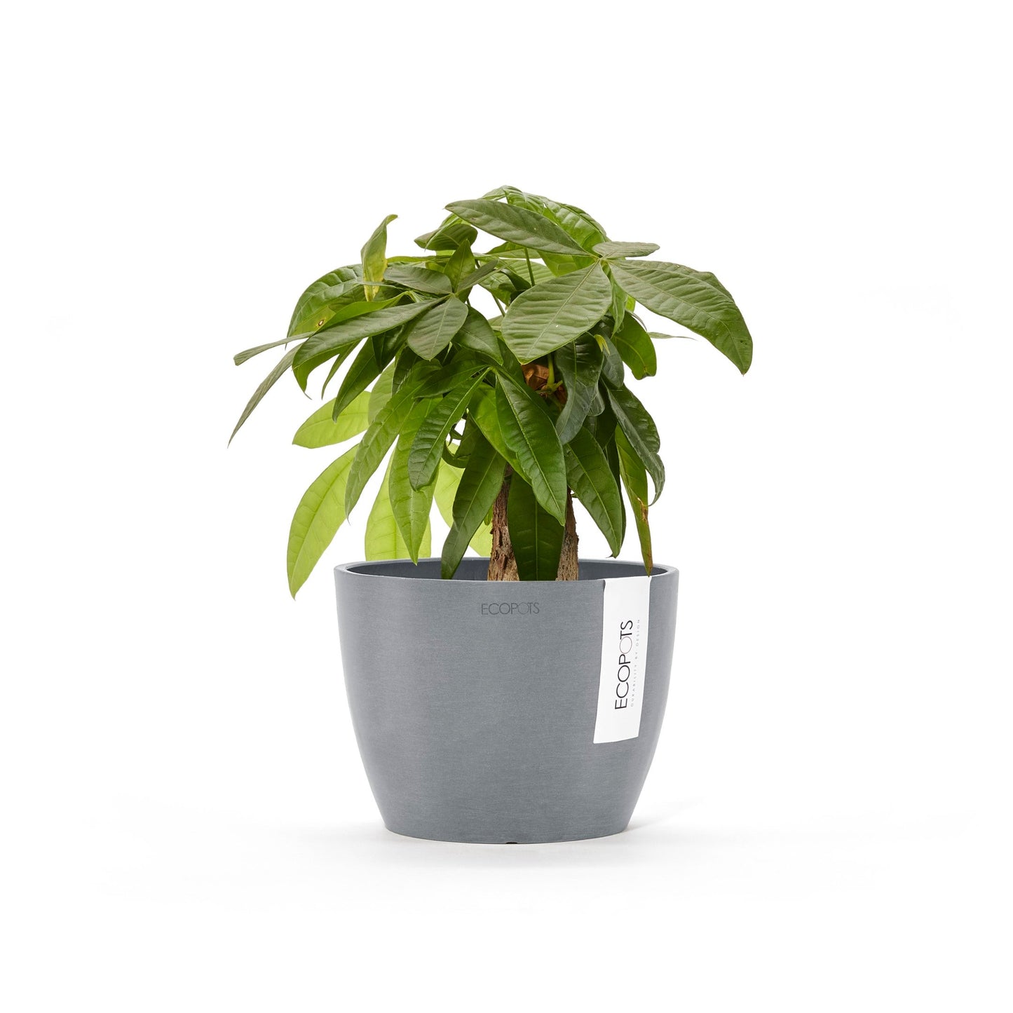Kukkaruukku - Ecopots - Tukholma 16cm siniharmaa - Ecopotskauppa - Uuden aikakauden kukkaruukku