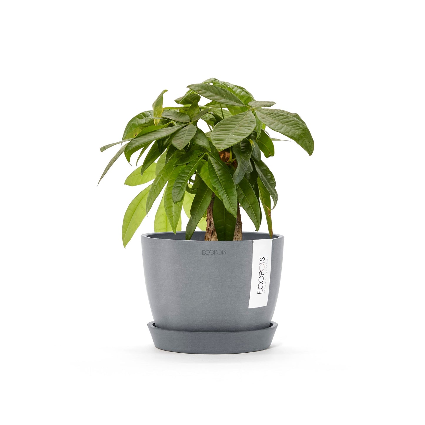 Kukkaruukku - Ecopots - Tukholma 16cm siniharmaa - Ecopotskauppa - Uuden aikakauden kukkaruukku