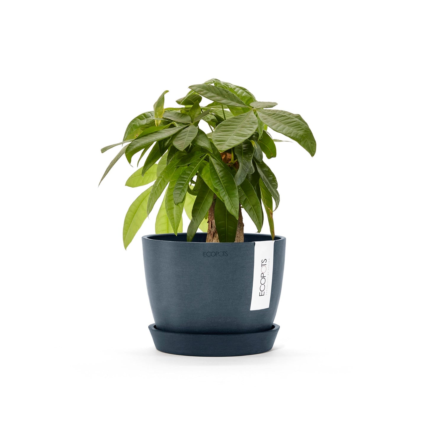 Kukkaruukku - Ecopots - Tukholma 16cm tummansininen - Ecopotskauppa - Uuden aikakauden kukkaruukku
