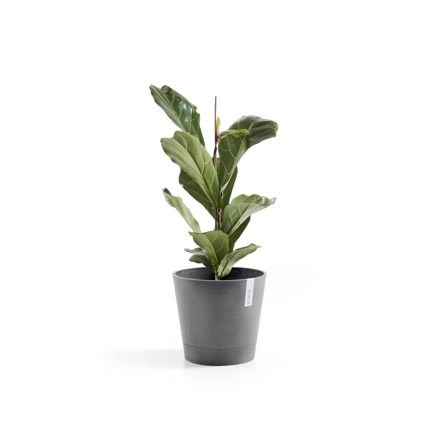 Kukkaruukku - Ecopots - Venetsia 30cm harmaa - Ecopotskauppa - Uuden aikakauden kukkaruukku