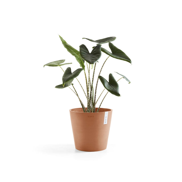 Ecopots Amsterdam -ruukku terracotta pöydällä