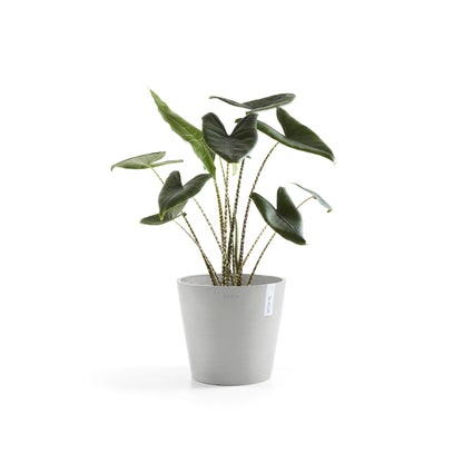 Lillepott Amsterdam 30cm valgehall isekastmissüsteemiga