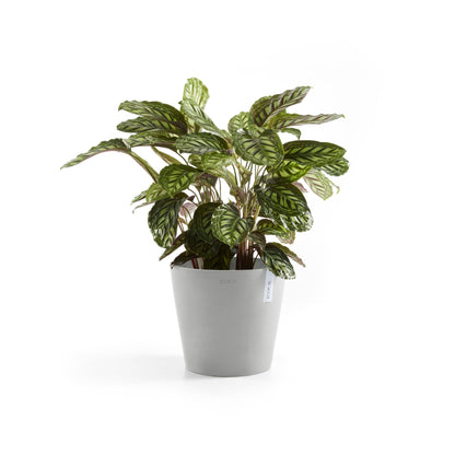 Lillepott Amsterdam 30cm valgehall isekastmissüsteemiga