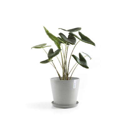 Lillepott Amsterdam 30cm valgehall isekastmissüsteemiga