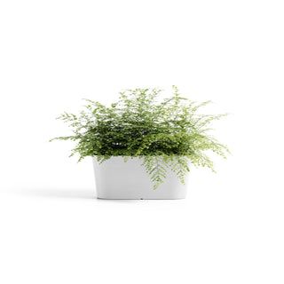 Lillepott Tokyo 40cm valge