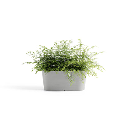 Lillepott Tokio 40cm valgehall