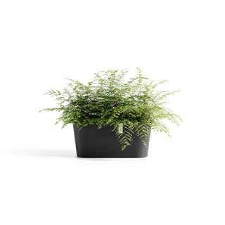 Lillepott Tokyo 40cm tumehall