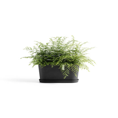 Lillepott Tokio 40cm tumehall