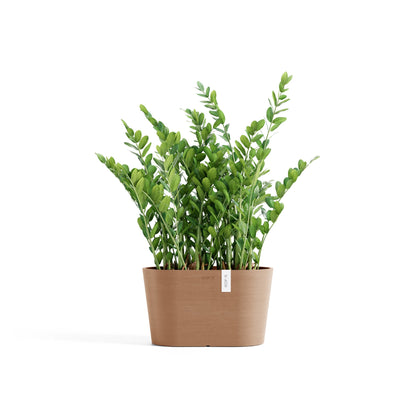 Lillepott Tokio 30cm terrakota