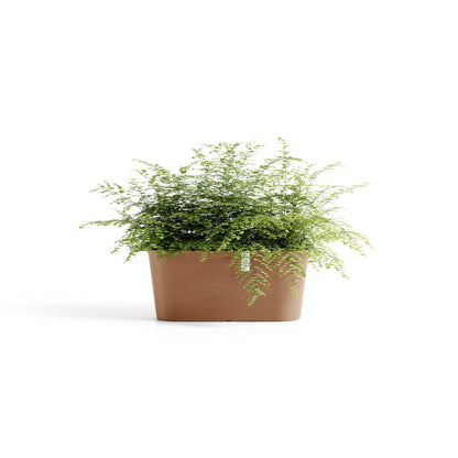 Lillepott Tokyo 40cm terrakota