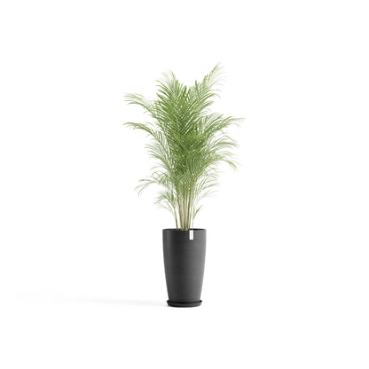 Lillepott Stockholm kõrge 60cm tumehall
